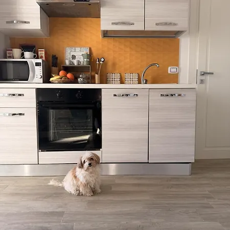 Apartman Dimora Jamare Relax E Natura A Pochi Passi Dal Mare Punta Prosciutto